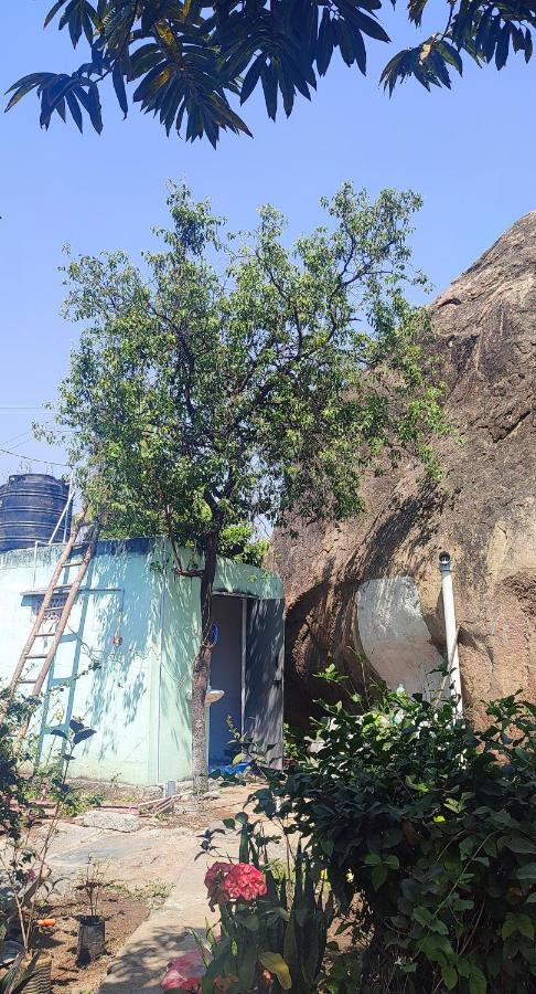 Hearthspace Hampi - Small Home, A Low-Impact Backpackers Hostel Ngoại thất bức ảnh