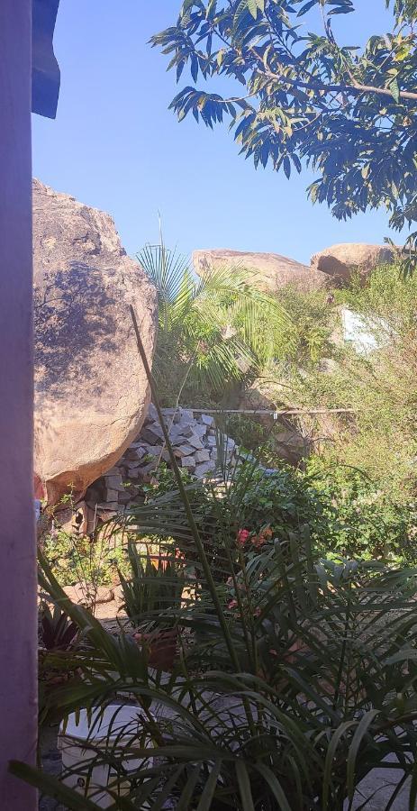 Hearthspace Hampi - Small Home, A Low-Impact Backpackers Hostel Ngoại thất bức ảnh
